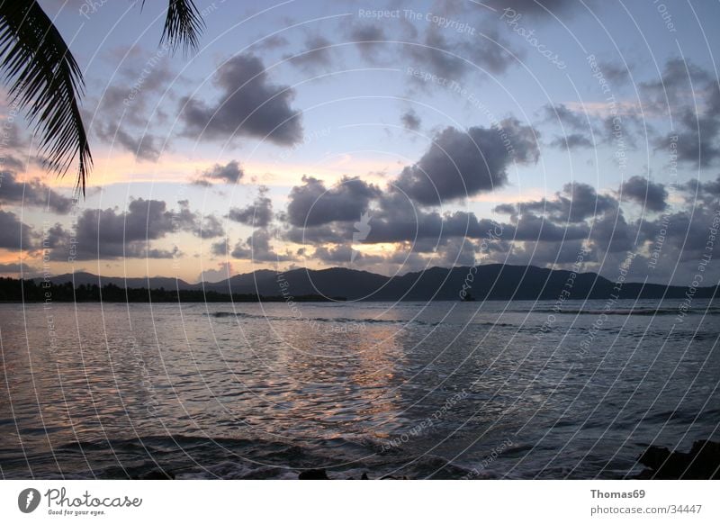 Karibik Strand Meer Sonnenuntergang Palme Kuba Abenddämmerung Menschenleer Palmenwedel Ferne Wolkenhimmel Gegenlicht