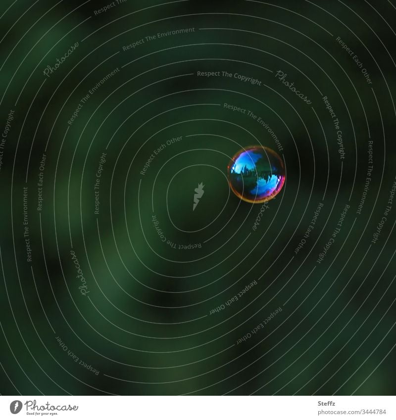 flüchtige Schönheit einer schwebenden Seifenblase loslassen Kugel leicht Leichtigkeit einfach schwerelos vergänglich einzigartig minimalistisch kurzweilig