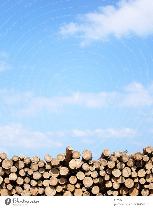 Wintervorrat transport himmel wolken schönes wetter weite sonnenlicht weg sommer ruhe gelassenheit holz holzstapel aufgeschichtet holzmiete schatten kiegen