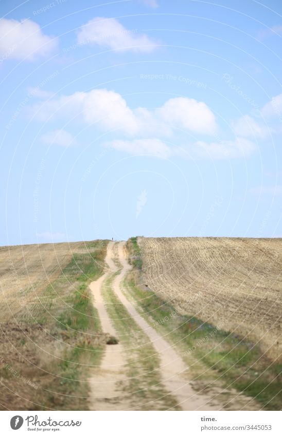 Raumteiler acker transport Landwirtschaft himmel wolken schönes wetter weite sonnenlicht horizont Getreide weg sandweg wirtschaftsweg sommer wandern ruhe