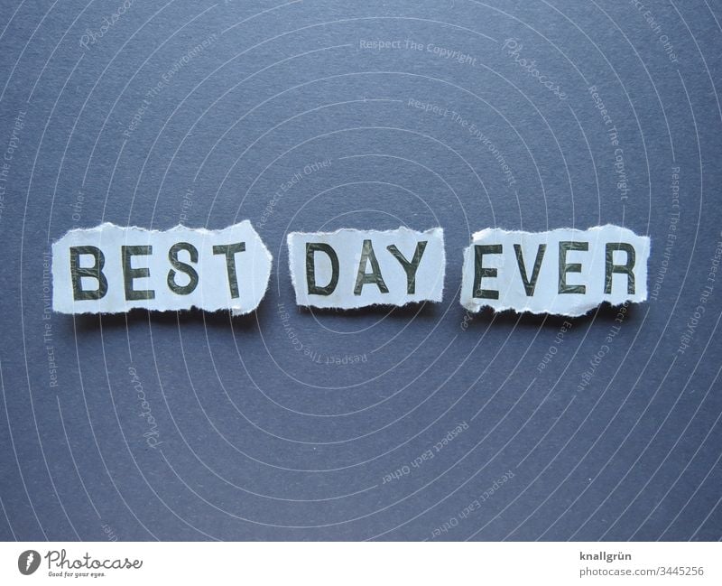 Best day ever Tag toller Tag Kommunizieren Buchstaben Wort Satz Kommunikation Typographie Sprache Englisch Fremdsprache Schriftzeichen Text