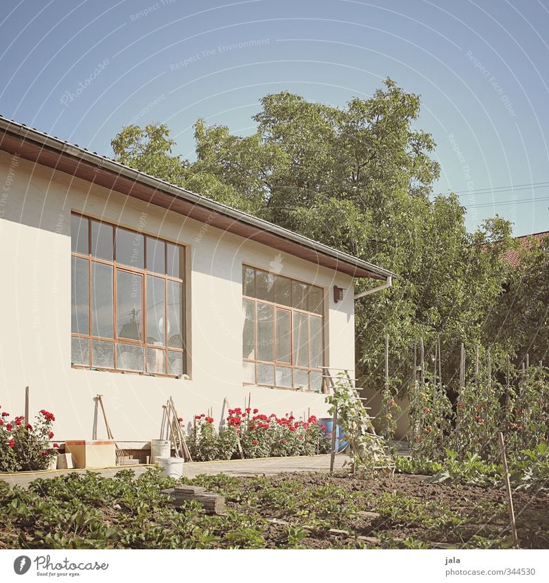 gärtchen Natur Himmel Sommer Schönes Wetter Pflanze Baum Blume Grünpflanze Nutzpflanze Garten Haus Bauwerk Gebäude natürlich Farbfoto Außenaufnahme Menschenleer