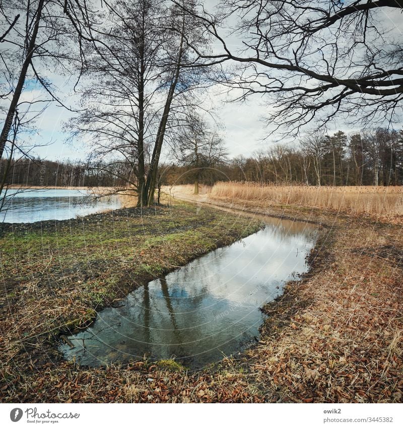 Kanal voll Natur draußen Außenaufnahme schönes Wetter herbstlich Bäume Horizont Wald Wasser Teich See Wasserwindstill Reflexion & Spiegelung Umwelt Seeufer Tag