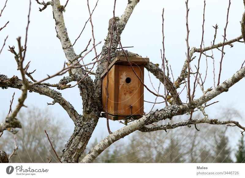 Am Baum hängendes Vogelhaus mit dem kreisförmigen Eingangsloch Futterhäuschen Kasten Haus Golfloch klein Tier Hintergrund Ast niedlich Lebensmittel Wald Garten