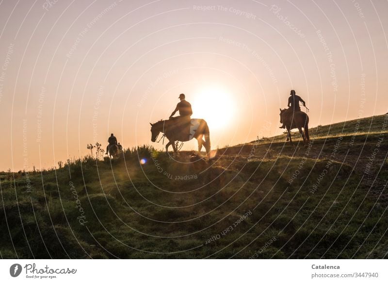 Reiter bei Sonnenaufgang Braun Tierhaltung Himmel Tageslicht Horizont Landwirtschaft Weide Pflanze Sommer Personen Gras Graslandschaft Prärie Pferd Nutztier