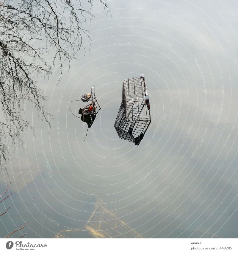 Schiffsfriedhof See Seeufer Wasser Wasseroberfläche windstill glatt Reflexion & Spiegelung Einkaufswagen entsorgt abgesoffen achtlos verlassen einsam nass unten