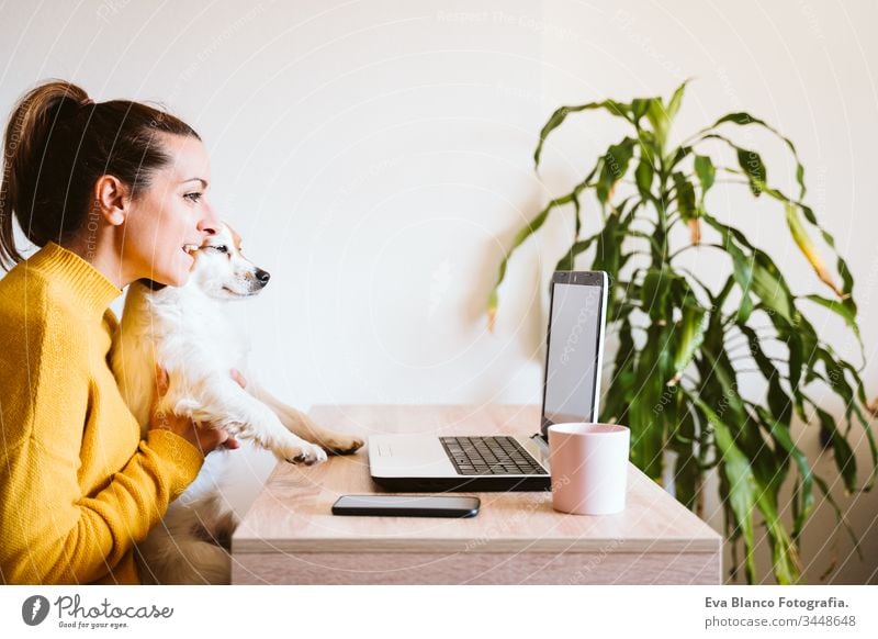 junge frau, die zu hause am laptop arbeitet, daneben süßer kleiner hund. arbeiten sie von zu hause aus, bleiben sie während des coronavirus covid-2019 concpt sicher