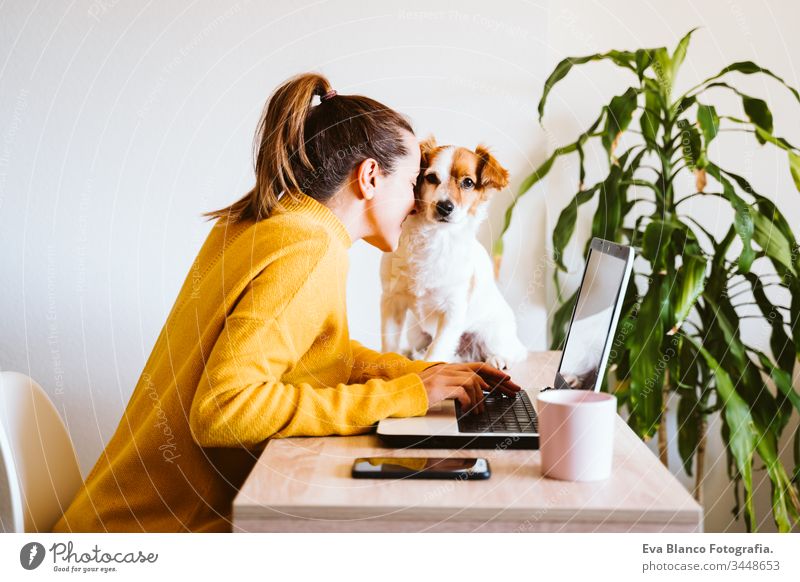 junge frau, die zu hause am laptop arbeitet, daneben süßer kleiner hund. arbeiten sie von zu hause aus, bleiben sie während des coronavirus covid-2019 concpt sicher