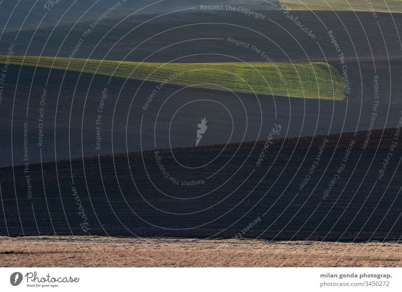 Detail einer ländlichen Landschaft in der Region Turiec, Slowakei. Slowakische Republik Bereiche Natur abstrakt Textur Detailaufnahme Linien Muster