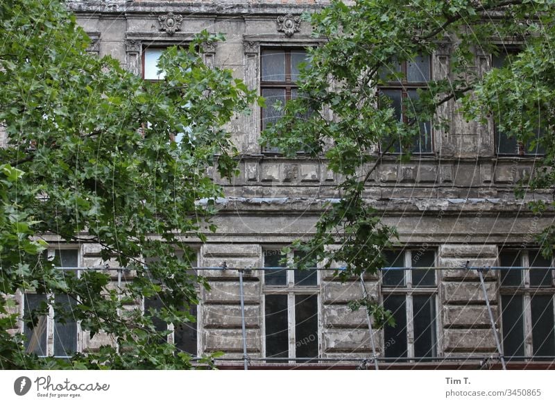 Prenzlauer Berg Berlin Fassade Altbau Oderbergerstraße Haus Fenster Stadt Menschenleer Stadtzentrum Häusliches Leben Wand Mauer Mehrfamilienhaus Wohnhaus