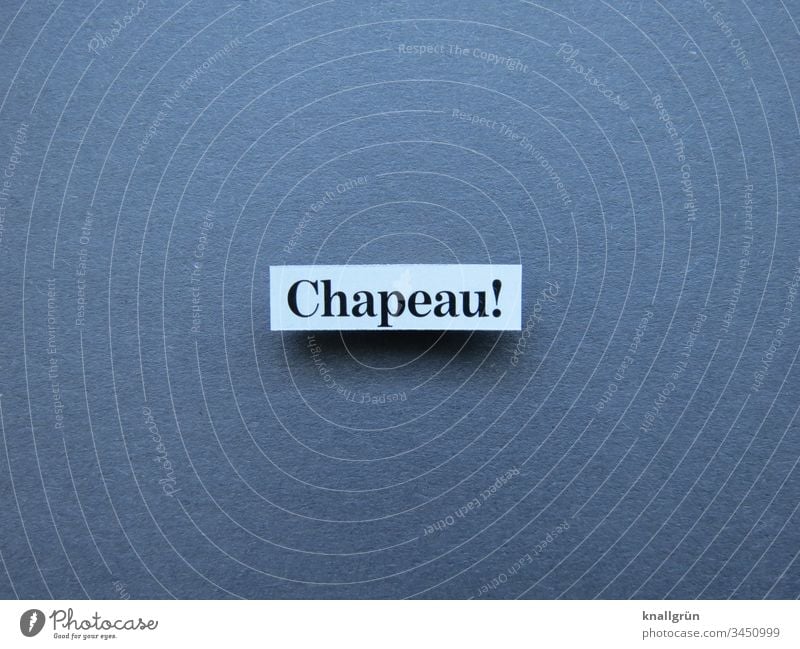 Chapeau! chapeau ausgezeichnet Bravo Lob Kompliment Hut ab Wort Buchstaben Satz Schriftzeichen Typographie Text Sprache Lateinisches Alphabet Letter