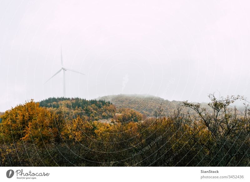 Windkraftanlage im Berg mit Nebel Kraft Energie Berge u. Gebirge Wald Herbst Bäume Turbine Erzeuger Windmühle Sonnenaufgang regenerativ Himmel Sonnenuntergang