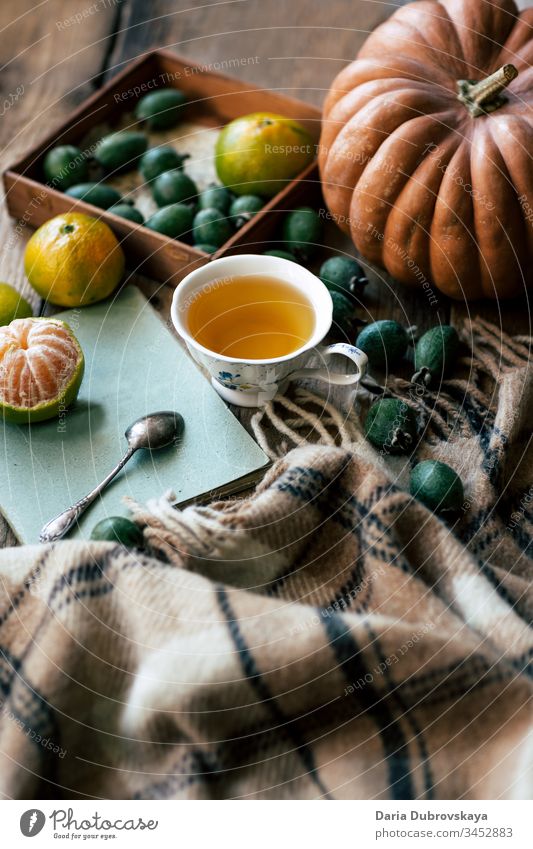 Herbstliches Stilleben. Tee, Kürbis und und kariert Lifestyle fallen Leben Konzept Tasse Hintergrund noch Plaid Saison gemütlich Decke Erntedankfest Oktober