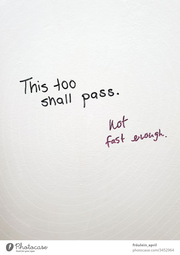 This too shall pass - Text auf weißer Wand Mitteilung Gefühle Wünsche Hoffnung schwarz Schriftzeichen Menschenleer Buchstaben Farbfoto Hintergrund neutral