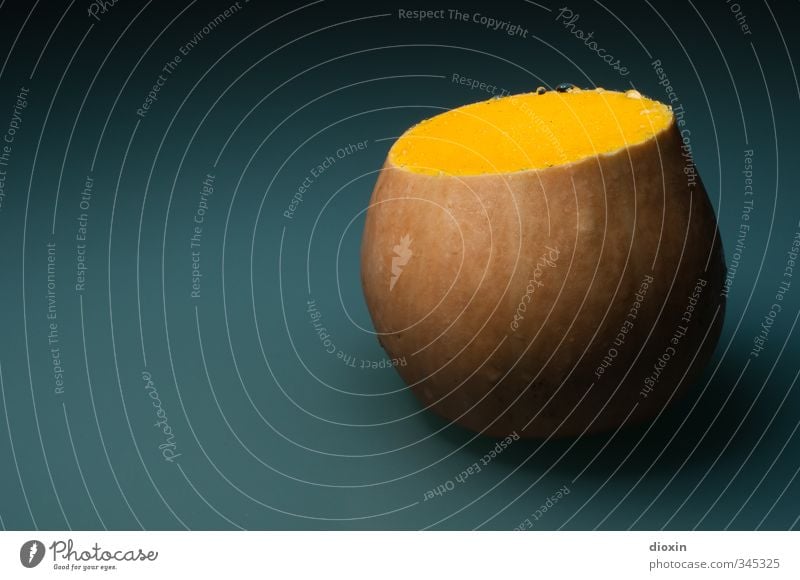 Lagenaria siceraria Gemüse Ernährung Vegetarische Ernährung Umwelt Natur Pflanze Nutzpflanze Kürbis Kürbisgewächse Flaschenkürbis frisch Gesundheit lecker