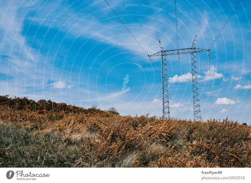 Galizische Landschaft voller "Tojos" mit einem elektrischen Turm Ackerbau schön Schönheit Blüte hell farbenfroh Bauernhof Feld Blume Stechginster grün Wiese