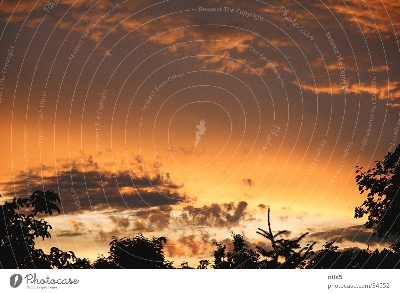 Abendleuchten Wolken Dämmerung orange-rot Stimmung harmonisch Abenddämmerung Himmel Ausklang