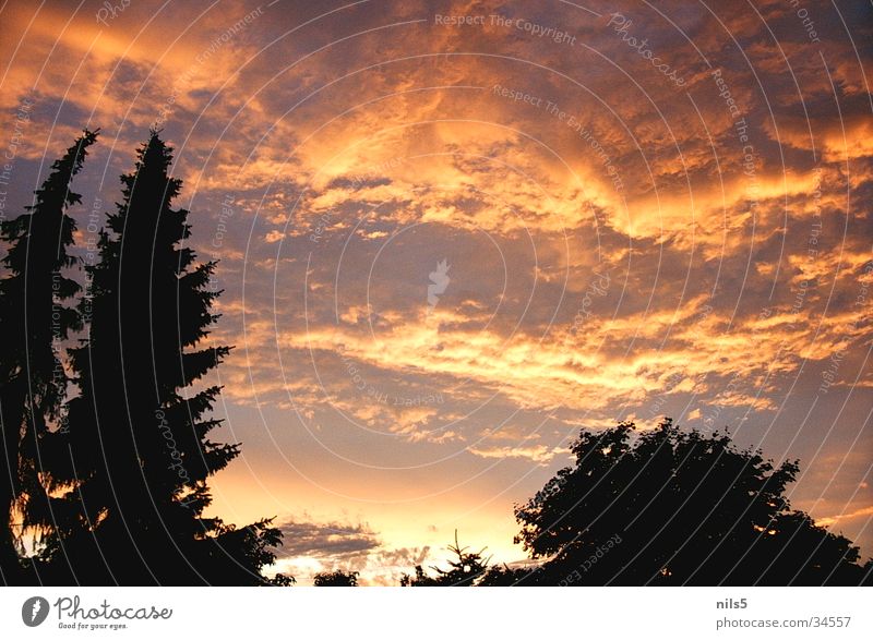 Glühender Himmel Wolken rot harmonisch orange Silhouette Kontrast ruhig Naturwunder Abend