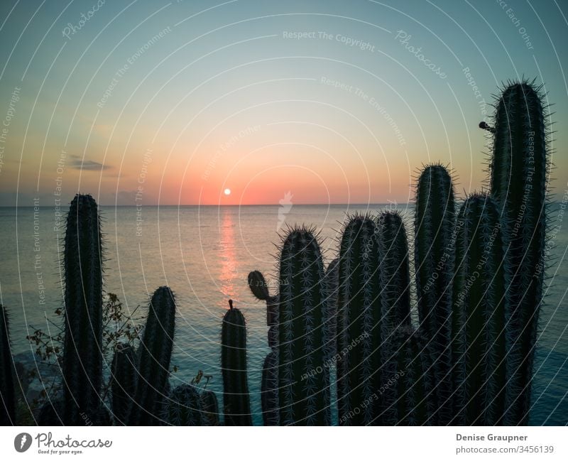 Karibischer Sonnenuntergang auf Curacao-Reisen curacao Karibik Küste Meer Strand Antillen MEER Wasser tropisch Insel holländisch Niederlande Abend Nacht Bucht