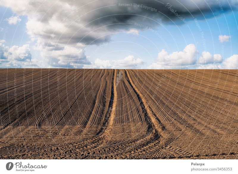 Gepflogenes Feld mit Spuren unter blauem Himmel Aussaat Traktor wachsend gepflügt Ansicht natürlich Reihe dreckig Ernte im Freien Land Furche Samen