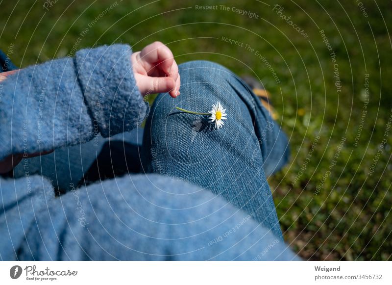 Kindheit Baby Vater Blume Gänseblümchen Hose Kindererziehung Sommer Frühling Blüte Kleinkind Farbfoto Gras grün Wiese Erwachsene Garten