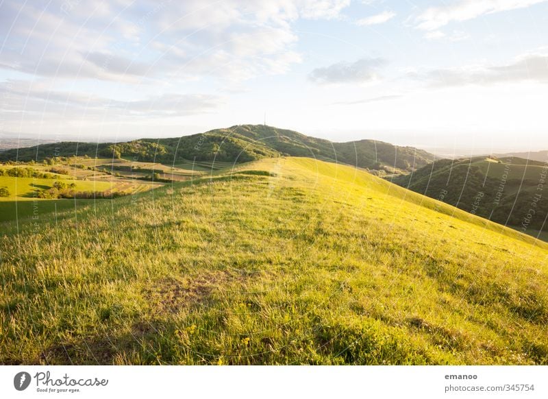 Kaiserstuhl Ferien & Urlaub & Reisen Ausflug Ferne Sommer Sommerurlaub Sonne Berge u. Gebirge Natur Landschaft Pflanze Himmel Gras Wiese Feld Hügel Gipfel