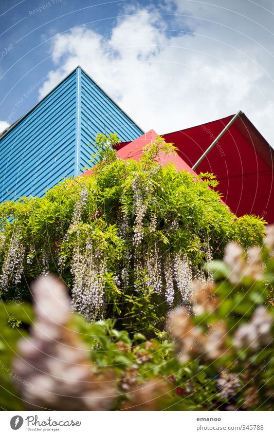 wohlfühl Wohnung Natur Landschaft Pflanze Himmel Sträucher Garten Park Stadt Haus Einfamilienhaus Traumhaus Gebäude Architektur Mauer Wand Fassade Balkon