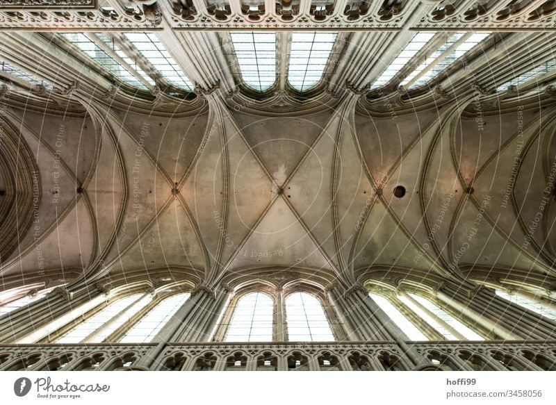 Deckengewölbe einer Kirche Kirchenfenster Kirchenraum Kirchendach Innenaufnahme Religion & Glaube Fenster Hoffnung Architektur Glas Christentum Gotteshäuser Dom