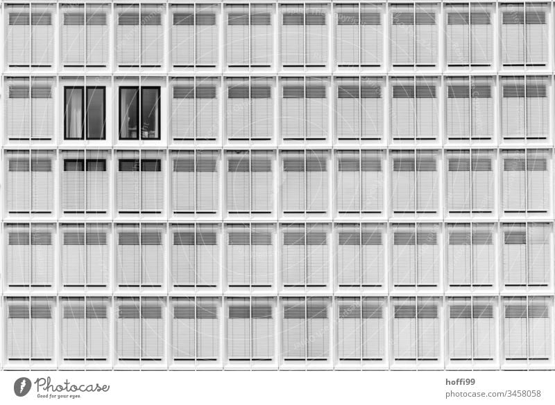 helles Sommerlicht auf moderner Fassade Jalousie Design Bankgebäude rein Architektur Licht Fenster Linie elegant standhaft Ordnungsliebe Genauigkeit