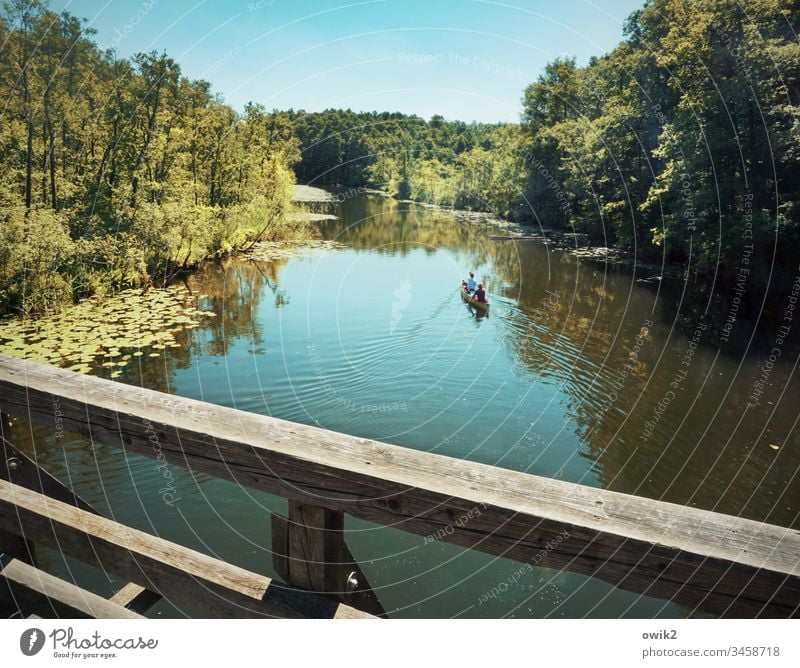 Paddeltour ins Blaue Kanal fließend ruhig still friedlich Wasser Wasseroberfläche Wolkenloser Himmel Bäume Wald Mecklenburg-Vorpommern