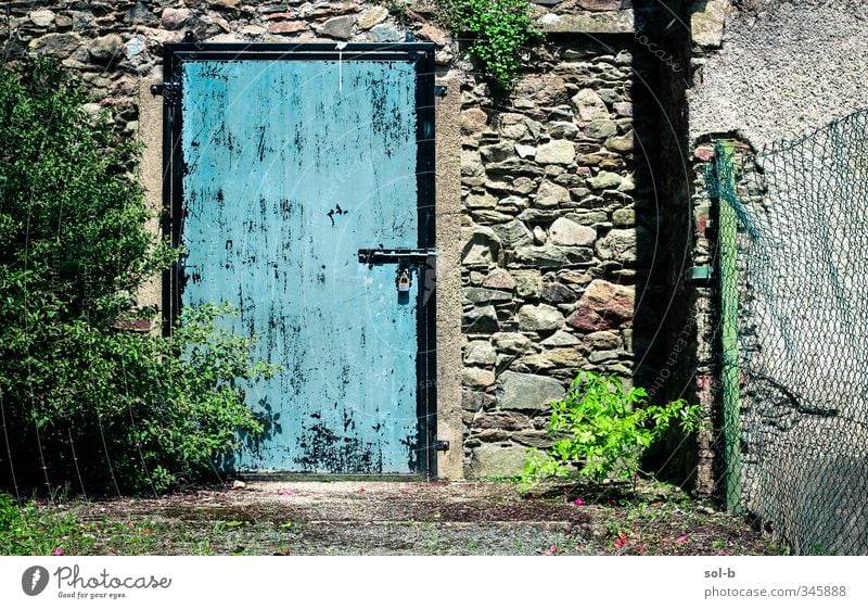 BLAU Häusliches Leben Garten Natur Pflanze Sträucher Efeu Gebäude Architektur Mauer Wand Tür Stein Beton Schloss alt Armut natürlich blau grün Traurigkeit