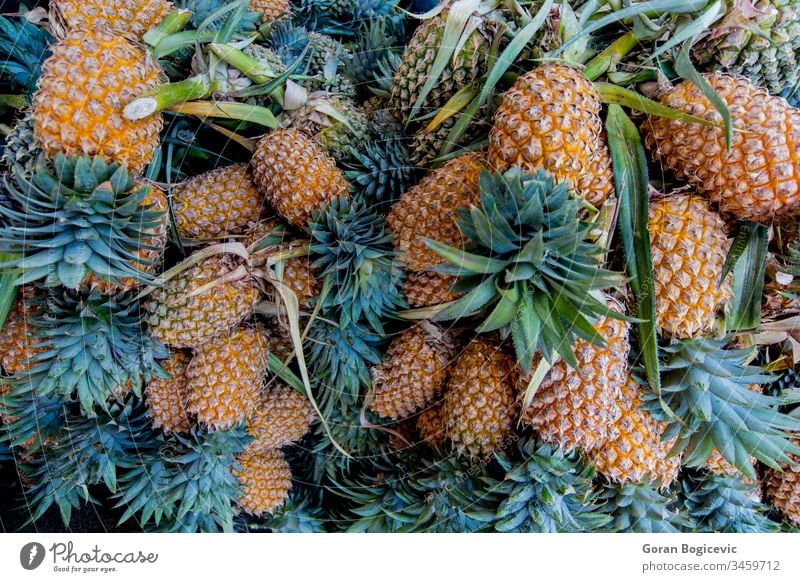 Ananas negombo sri Lanka Lebensmittel Gesundheit Frucht gelb tropisch saftig Farbe Diät Pflanze frisch Natur roh Ernährung Markt Frische Nahaufnahme lecker