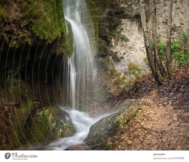 eifelwasser Natur Landschaft Wasser Frühling Regen Baum Moos Wald Felsen Berge u. Gebirge Schlucht Wasserfall Dreimühlen Wasserfall Eifel Vulkaneifel Stein Sand