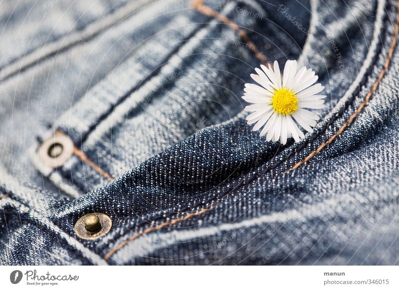 geblümte Hose Blume Blüte Gänseblümchen Bekleidung Jeanshose Stoff Fröhlichkeit Kitsch lustig natürlich klassisch Farbfoto Nahaufnahme Menschenleer