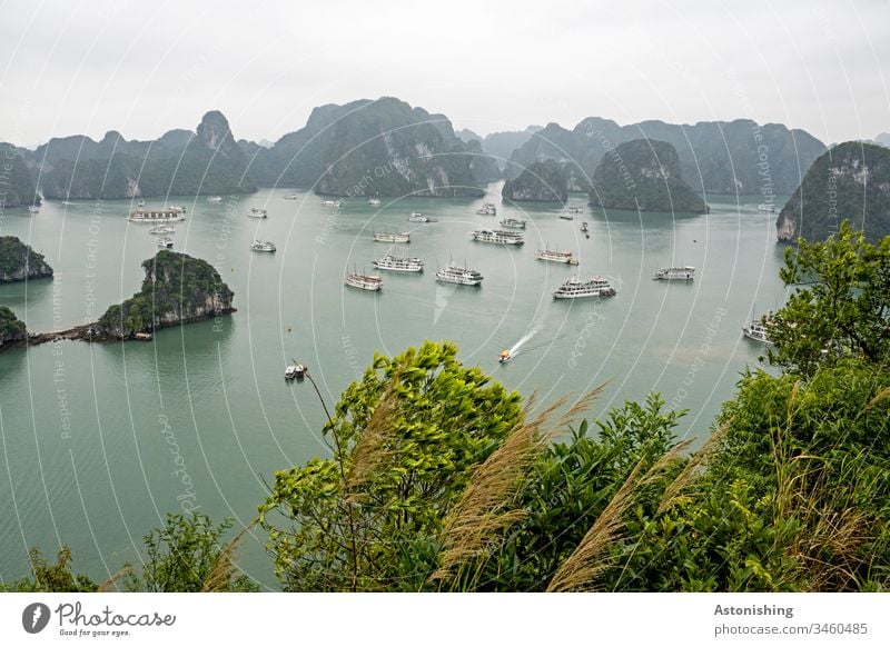 Boote in der Ha Long Bucht, Vietnam exotisch Textfreiraum oben hoch steil Urwald Farbfoto Tag grün Sand Strand Blätter Wald Himmel Kalkstein Ozean Reise schön