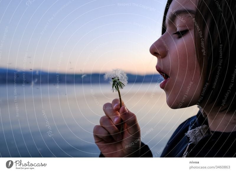 Junge und Pusteblume Nahaufnahme Blume Pflanze Natur Löwenzahn Makroaufnahme Samen Außenaufnahme Detailaufnahme Frühling Farbfoto Menschenleer zürichsee