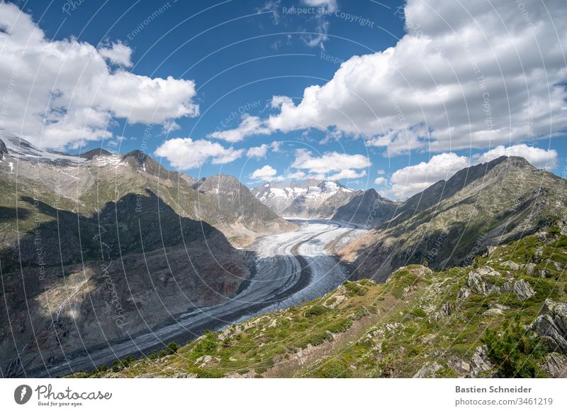 Aletschgletscher, der größte Gletscher in den Alpen Menschenleer Landschaft Außenaufnahme Farbfoto Interlaken einzigartig Freiheit kalt Jungfraujoch