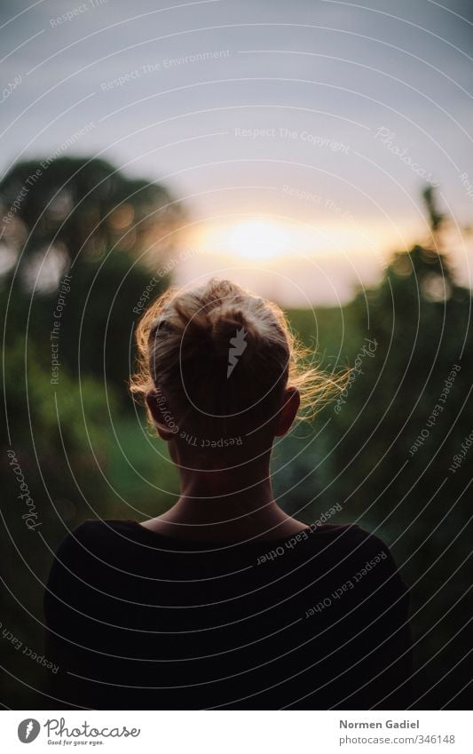 Sonnenblick Ferien & Urlaub & Reisen Ferne Freiheit feminin Junge Frau Jugendliche Haare & Frisuren 1 Mensch 18-30 Jahre Erwachsene Horizont Sonnenaufgang