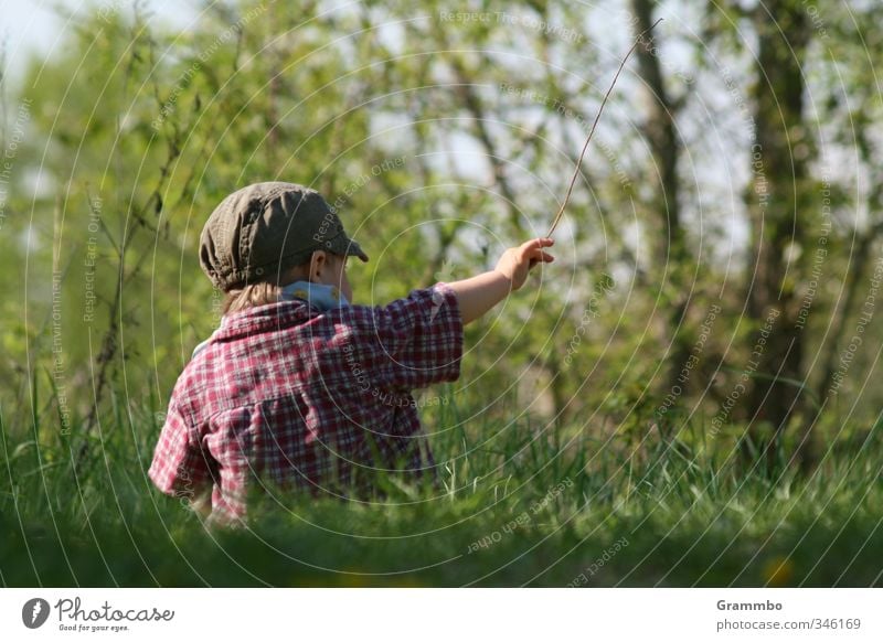 Da! Mensch maskulin Kind Kleinkind Junge 1 1-3 Jahre Natur Baum Gras Wiese sitzen niedlich zeigen Farbfoto Textfreiraum rechts Textfreiraum unten Tag Wegsehen