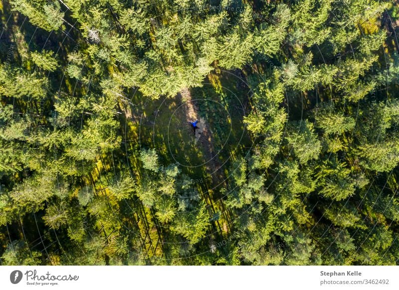 Mitten im Wald ein Loch zwischen den Baumwipfeln in Herzform, ein Mann liegt in dessen Inneren wald drohne copter herz man liegen natur draufsicht