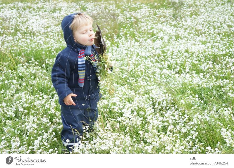 Kindheit | inmitten blühender Wiesen stehen. Mensch Kleinkind Junge 1 3-8 Jahre Umwelt Natur Landschaft Frühling Herbst Garten Park Jacke Schal Kapuze blond