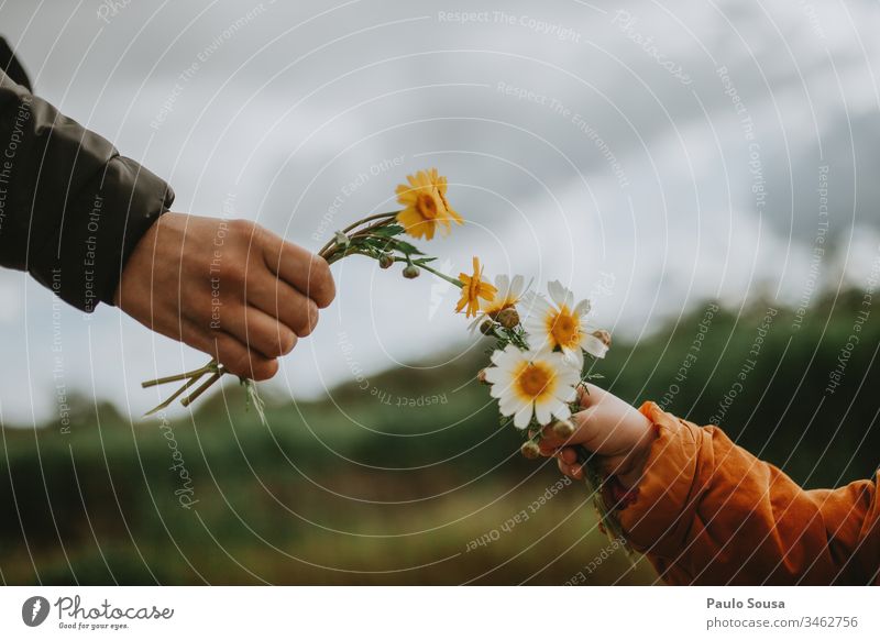 Mutter und Tochter halten Blumen Beteiligung Frühling Frühlingsblume Frühlingsgefühle Farbfoto Natur Pflanze Außenaufnahme Blüte Tag Frühblüher natürlich