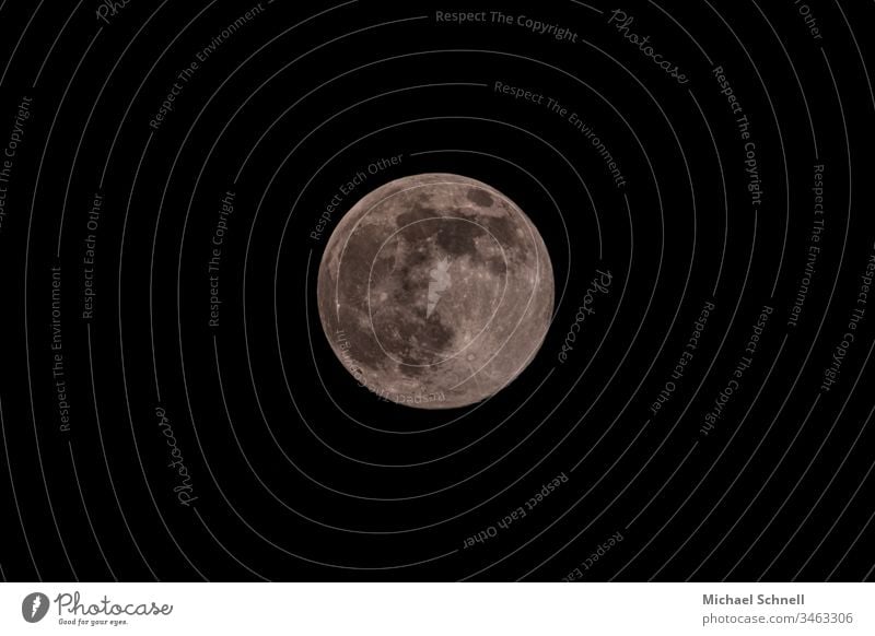 Vollmond am schwarzen Himmel Mond Kreis rund grau vollständig kreisrund Stern nachts Nachthimmel Textfreiraum unten Textfreiraum oben