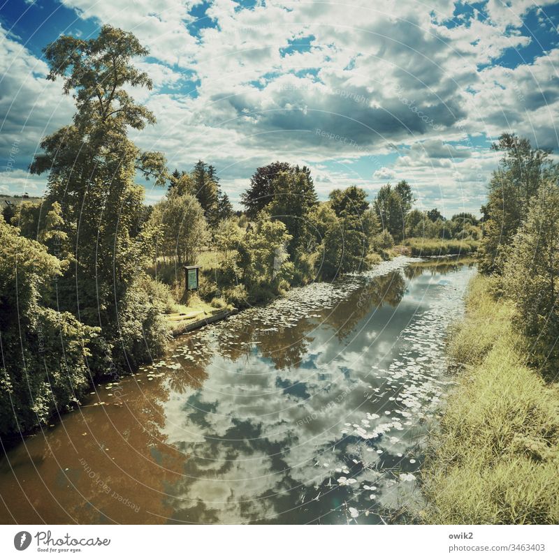 Fließende Grenze Landschaft Kanal Wasserstraße Gewässer fließend Außenaufnahme Farbfoto Natur Menschenleer Fluss Tag Reflexion & Spiegelung Sommer Umwelt