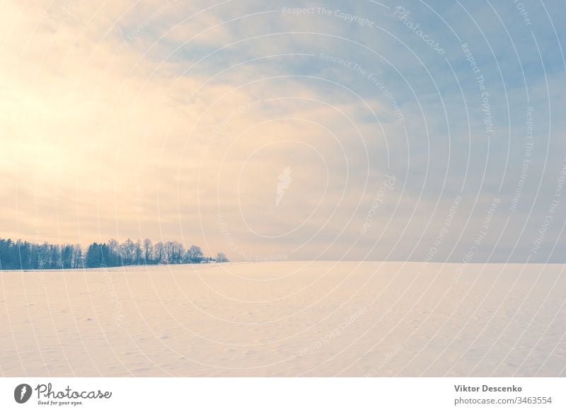 Abend über einem klaren Feld mit Schnee Dezember Sonnenuntergang Landschaft kalt Winter ländlich rosa verschneite Weihnachten purpur Sonnenaufgang Norden