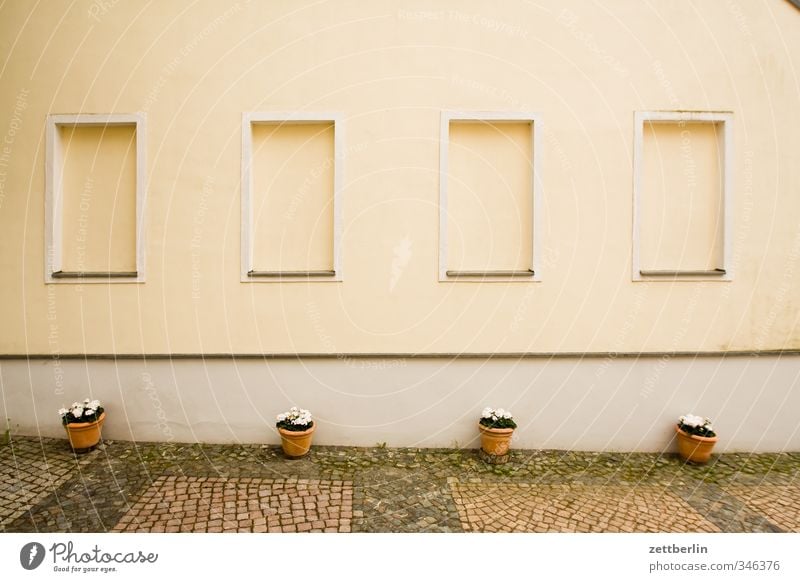 Fantastic Four Lifestyle ruhig Häusliches Leben Wohnung Haus Traumhaus Natur Blume Topfpflanze Garten Park Dorf Kleinstadt Stadt Altstadt Architektur Mauer Wand