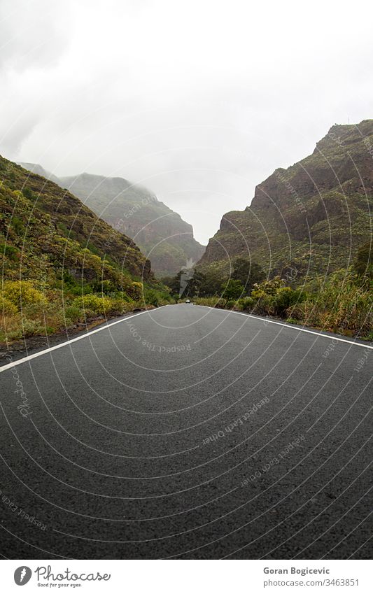 Bergstraße Natur Landschaft Insel Felsen malerisch Oma Berge u. Gebirge Kanarienvogel reisen Spanien Ausflugsziel Spanisch Wahrzeichen Straße hoch wild Wildnis