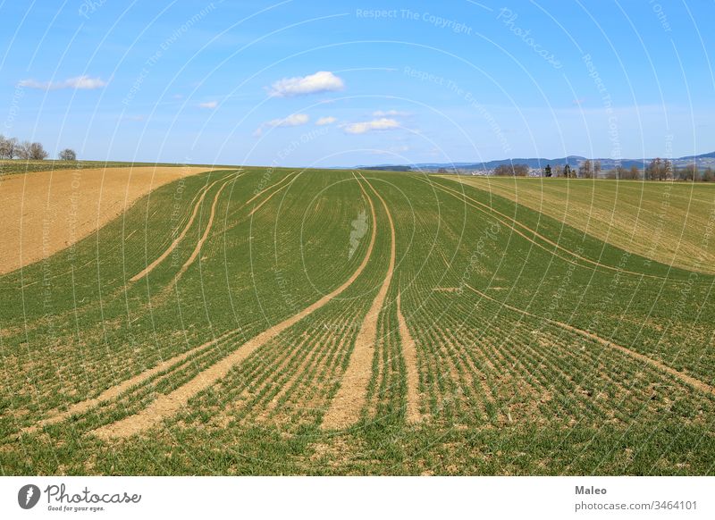 Frühlingslandschaft mit Feldern mit grünen Pflanzensprossen Ackerbau Land Landschaft ländlich Ackerland Natur Umwelt Sommer Gras Wiese Ernte Bauernhof Himmel