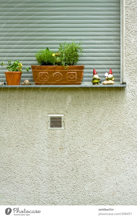 Gartenzwerge Lifestyle Freude Sommer Häusliches Leben Wohnung Haus Umwelt Natur Pflanze Frühling Blume Gras Blatt Grünpflanze Wachstum Sehnsucht Heimweh Fernweh