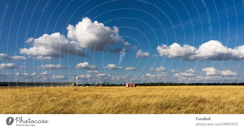 Tempelhofer Feld an einem sonnigen Augusttag Wiese Wolken Wolkenhimmel Wolkenformation weite Sicht Blauer Himmel Horizont Flughafen Tempelhof Berlin